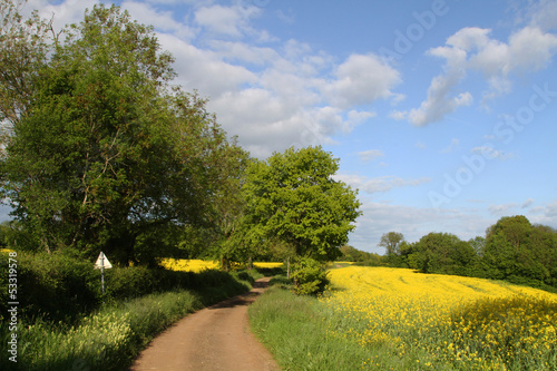 Photo: Petite route de campagne en Bourgogne au printemps Petite route de campagne en Bourgogne au printemps