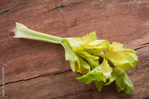 Photo: Celery twig on wooden table Celery twig on wooden table