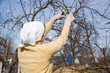 Hands with gloves of gardener doing maintenance work