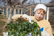 Gardening, planting concept