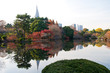 東京の庭園と鮮やかな光景