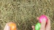 A hand cvollects a few estaer eggs from a pile of straw.