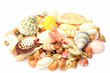 shell