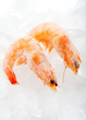 shrimp on ice