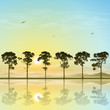 Vector: A Line of Trees in Silhouette with Sunset, Sunrise A Line of Trees in Silhouette with Sunset, Sunrise