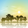 Vector: A Line of Trees in Silhouette with Sunset, Sunrise A Line of Trees in Silhouette with Sunset, Sunrise