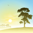 A Country Meadow Landscape with Trees and Sunset, Sunrise