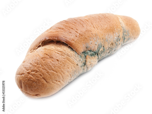 Photo: Moldy loaf Moldy loaf