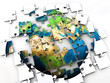 earth puzzle