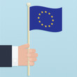 Vektor: european union flag european union flag