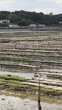Bassin ostréicole à Larmor-Baden (Morbihan)
