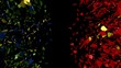 Brazil China flag sphere converging animation