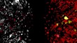 Japan China flag sphere converging animation