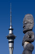 Photo: Auckland Sky Tower Auckland Sky Tower
