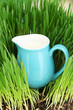 Pitcher of milk standing on grass close up