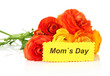 Ranunculus (persian buttercups) for mothers day, isolated