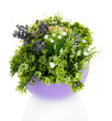 Pot with flowers isolated on white