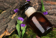 Bottle with basics oil on tree bark and stones close up