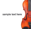 Classical violin isolated on white