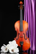 Classical violin on curtain background