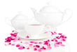 Rose tea isolated on white