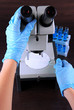 Scientist working at laboratory