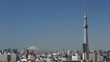 快晴、富士山と東京スカイツリー