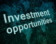 Investment opportunities