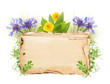 Old paper with wild flowers isolated on white
