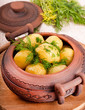 Foto: Appetizing potato in a pot with fennel of a fresh crop Appetizing potato in a pot with fennel of a fresh crop