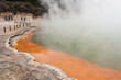 tourists at Champagne pool in Waiotapu