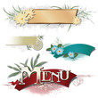 Vector decorative elements for decoration and design