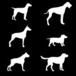 Dog collection - vector silhouette