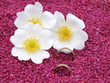 wedding rings with delicate blossoms in small stones