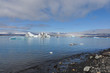 Icelandic icebergs