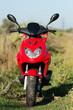 Motor Scooter in Grass