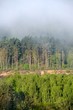 view on Gauja valley in spring in Sigulda, Latvia