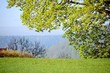 view on Gauja valley in spring in Sigulda, Latvia