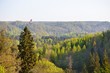 view on Turaida castle and Gauja valley