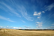 Field