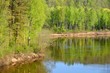Gauja river in spring morning in Sigulda, Lativa