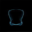 Abstract blue ornament on black background. Vector