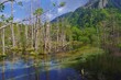 RISE AND FALL providence, Kamikochi 瞑想上高地