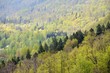 areal view on Gauja river valley in spring in Sigulda, Latvia