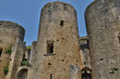 medieval castle of Villandraut in Gironde