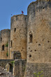 medieval castle of Villandraut in Gironde