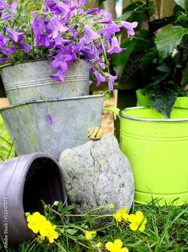 Photo: petit escargot dans les pots de jardinage petit escargot dans les pots de jardinage