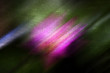 Abstact color light background.