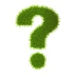 Grass style Symbol - Sign Isolated on white background