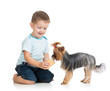 kid feeding dog isolated on white